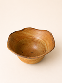 organic bowl no.2