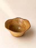 organic bowl no.2