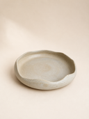 organic plate no.5